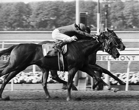 The Sport’s Great Rivalries: Affirmed and Alydar .